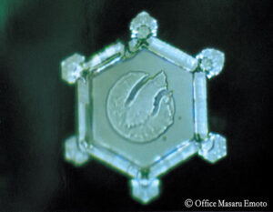 Masaru-Emoto-Beyond-the-Magazine