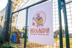 Iagolandia-Parco-Giochi-Cani-Beyond-the-Magazine