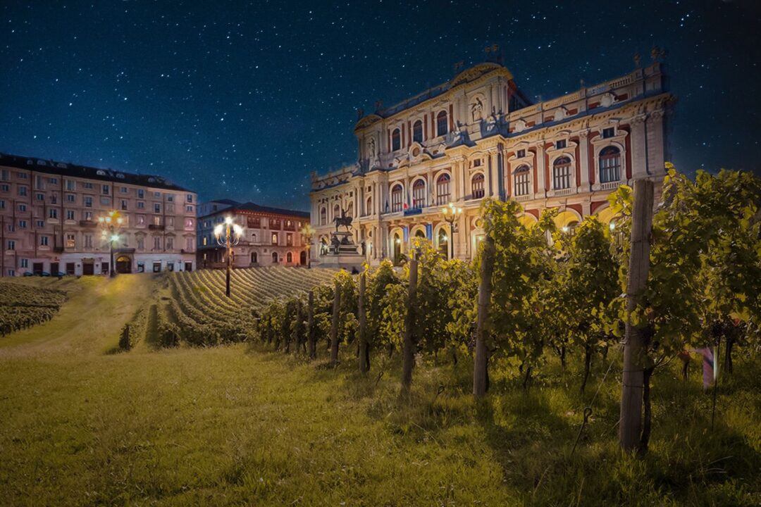 Torino Wine Week, edizione 2021, articolo su Beyond the Magazine