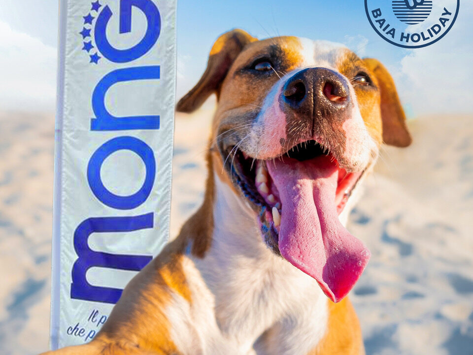 Baia Holiday, Monge, collaborazione, animali, amici a quattro zampe, articolo su Beyond the Magazine