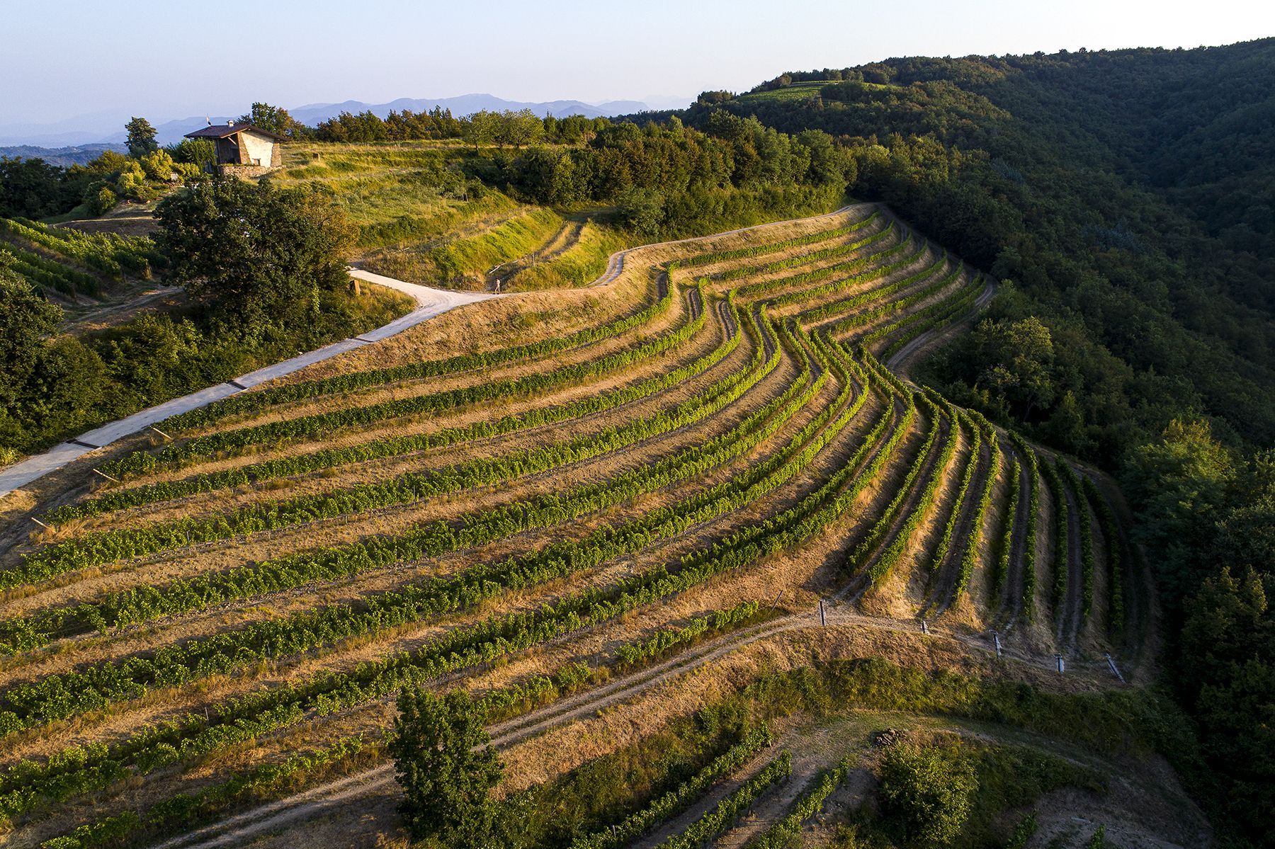 Wine Garden, entrata, articolo su Beyond the Magazine