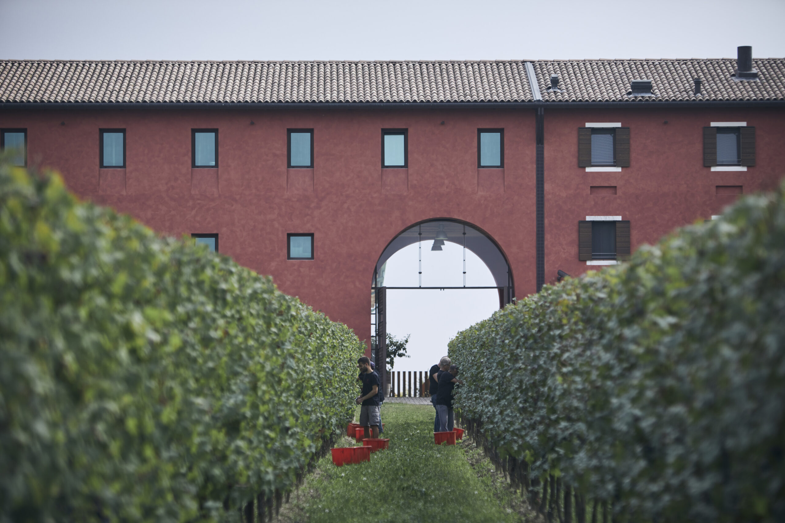 Wine Garden, entrata, articolo su Beyond the Magazine