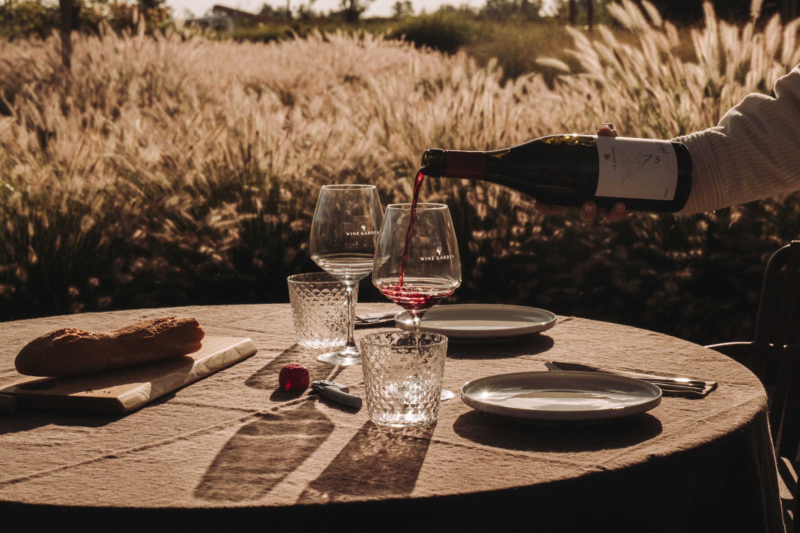Wine Garden, entrata, articolo su Beyond the Magazine