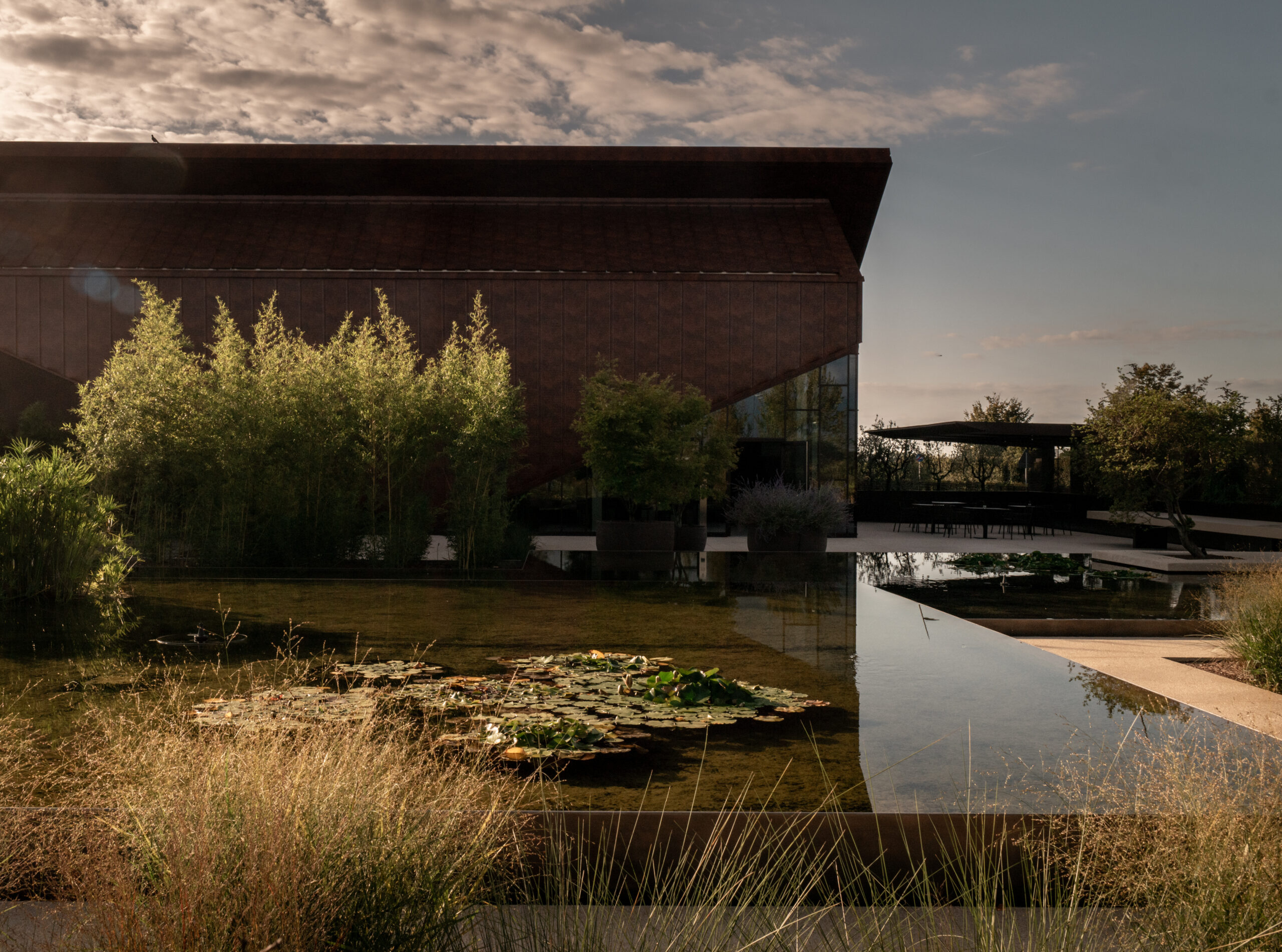 Wine Garden, entrata, articolo su Beyond the Magazine